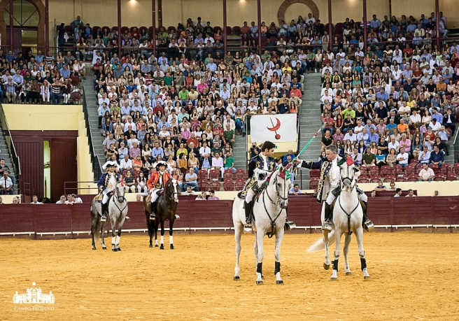 MOMENTO DA ALTERNATIVA