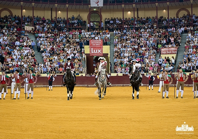 CAMPO PEQUENO PREMIADO