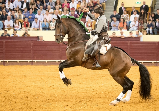 DIEGO VENTURA CAMPO PEQUENO
