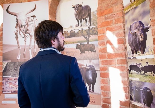 VISITAS AO MUSEU DO CAMPO PEQUENO