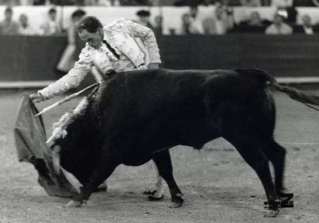MÁRIO COELHO NO CAMPO PEQUENO