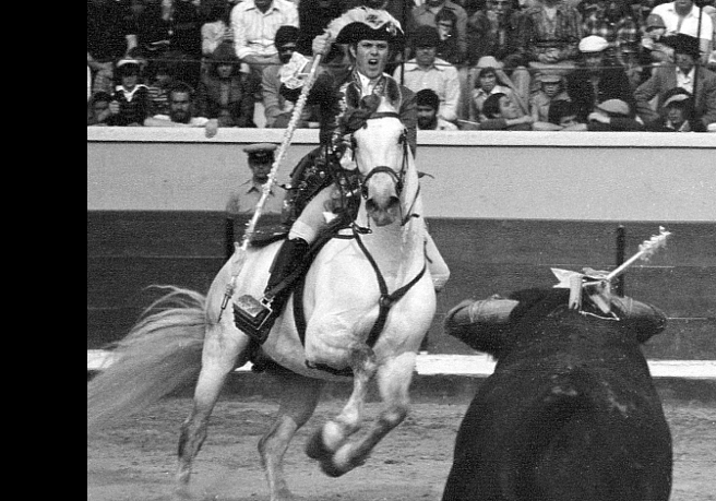 LUÍS MIGUEL DA VEIGA