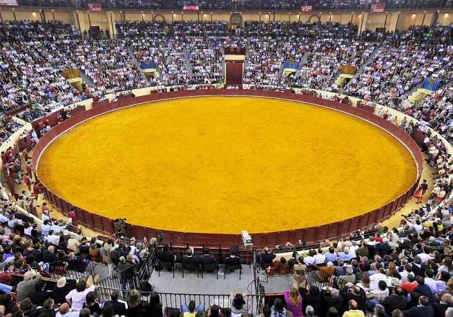 CAMPO PEQUENO TOURADA