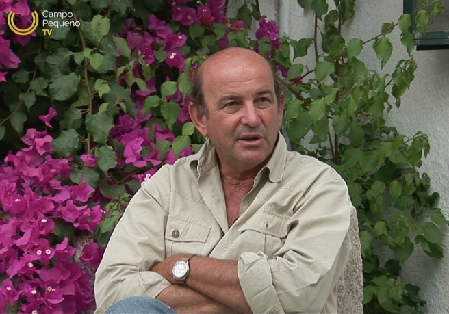 JC 15 TEM Ganadaria David R Telles Promo.mp4 2015-11-24 03-36-18