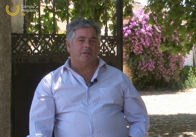 JOÃO MOURA CAMPO PEQUENO TV