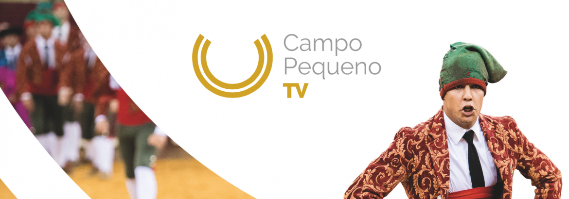 CAMPO PEQUENO TV DESTAQUE
