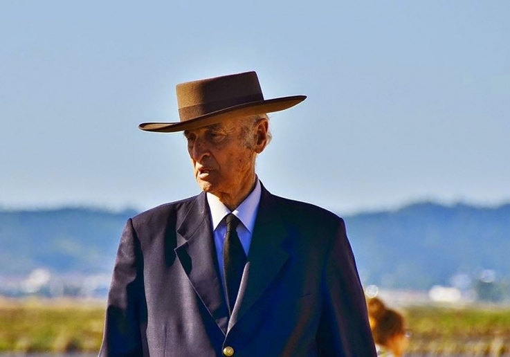 Fernando Palha - Memória
