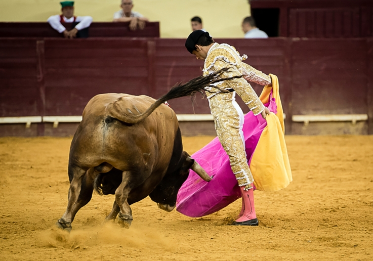 matador portugues