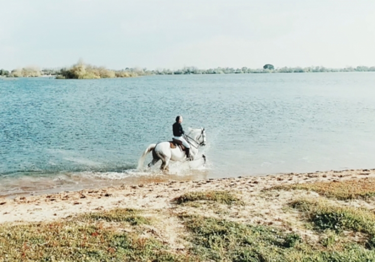 Full_JoaoSalgueiro_Cp 2016-03-31 21-57-42 cópia