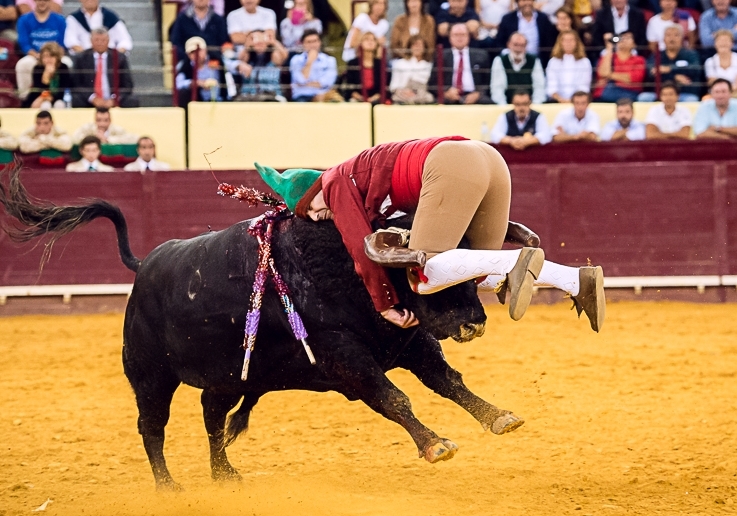Pega. Forcados de Lisboa