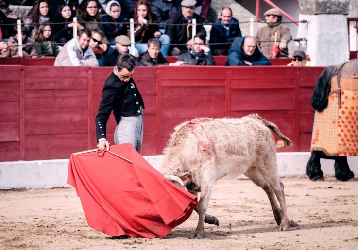 ACADEMIA CAMPO PEQUENO