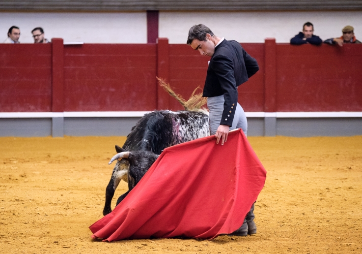 SERGIO NUNES CAMPO PEQUENO