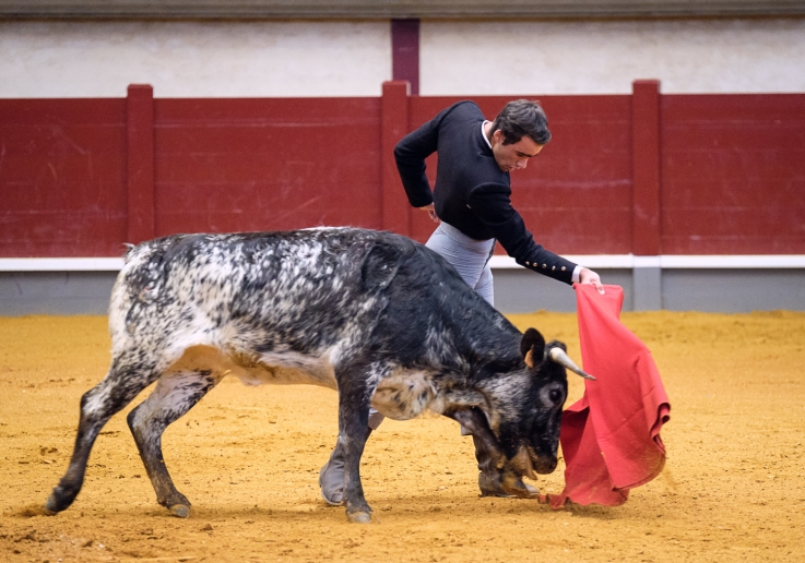 SERGIO NUNES CAMPO PEQUENO