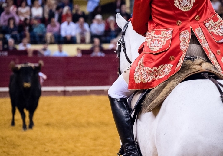 CAMPO PEQUENO