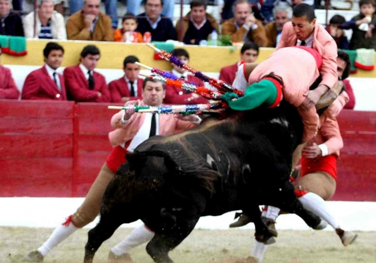 Forcados de Alter do Chão