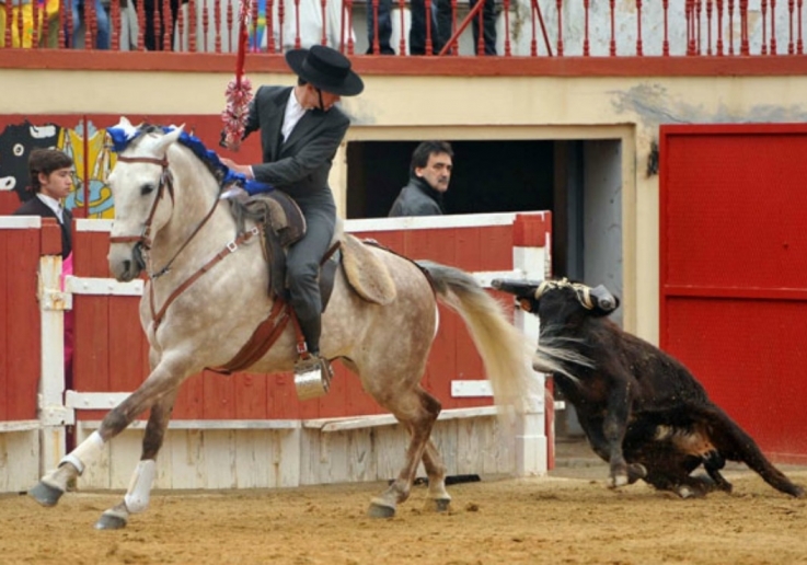 Francisco Correia Lopes