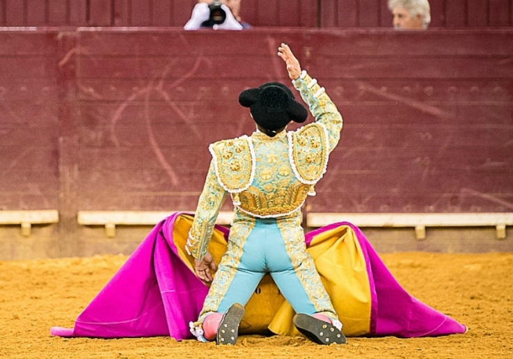 Novos Toureiros