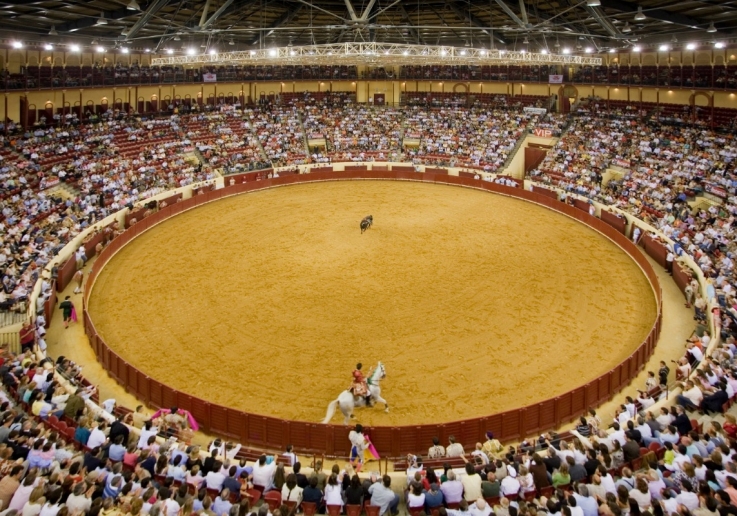 CAMPO PEQUENO TV