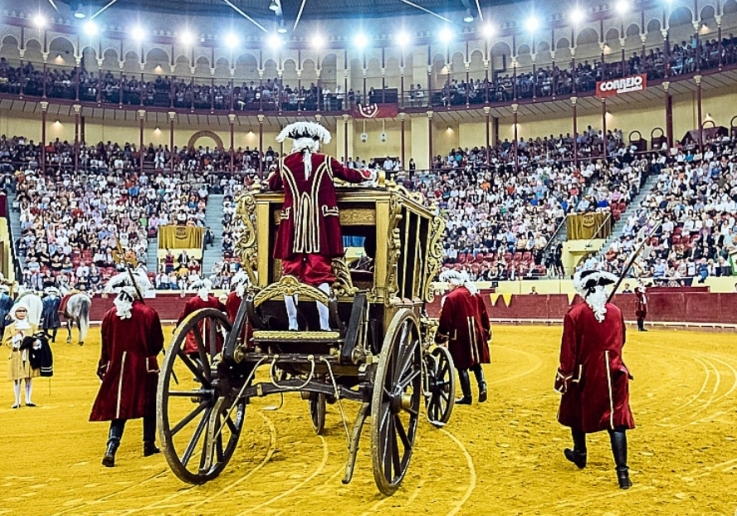 CAMPO PEQUENO TV
