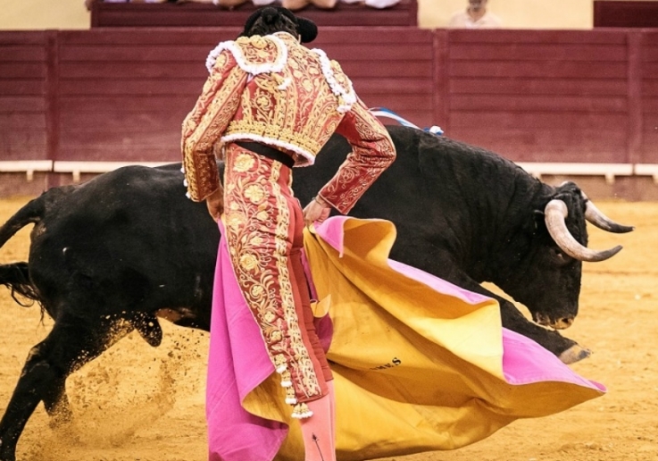 CAMPO PEQUENO TV