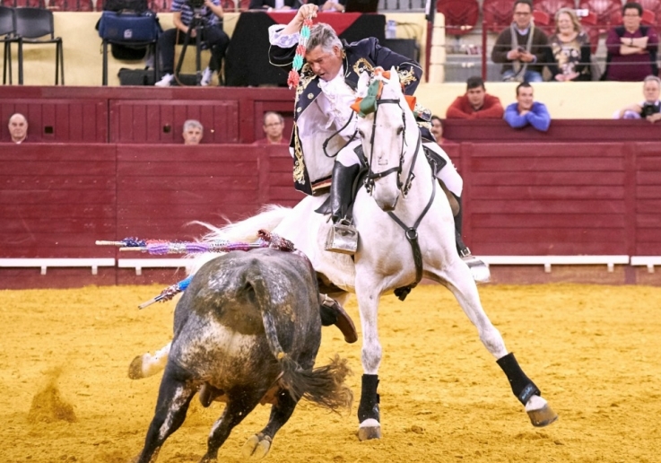 CAMPO PEQUENO TV