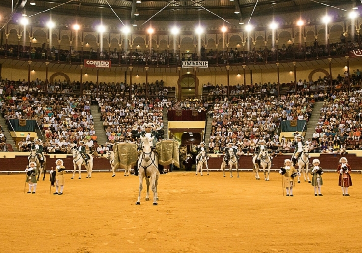 CAMPO PEQUENO TV