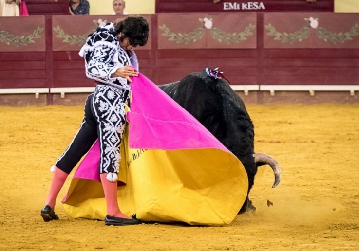 CAMPO PEQUENO TV