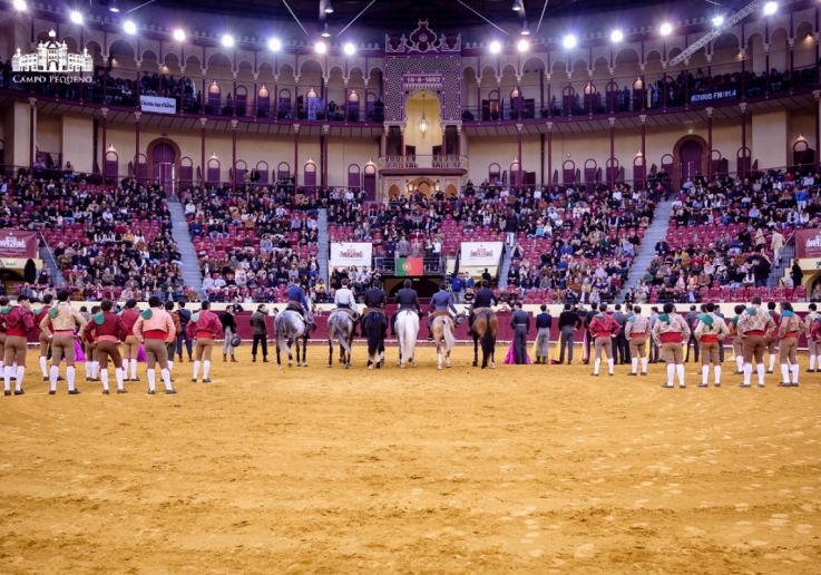 CAMPO PEQUENO TV