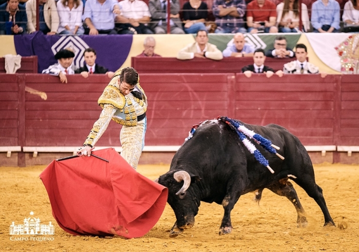 20160908 CPQ CORRIDA-52