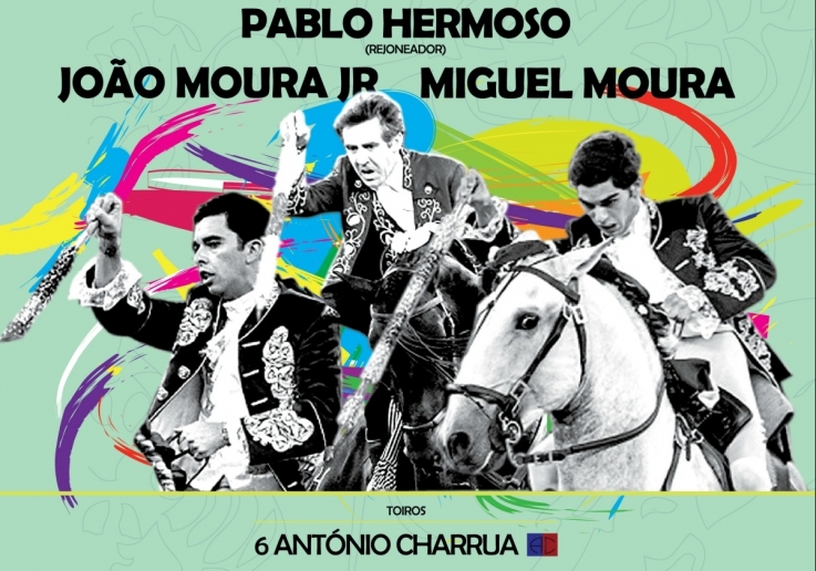 CAMPO PEQUENO TV