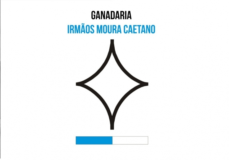 CAMPO PEQUENO TV