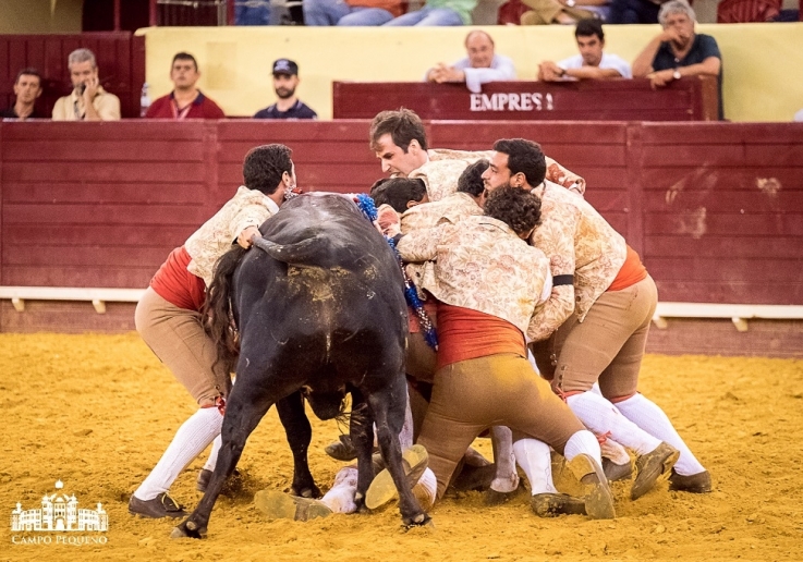 Corrida Emigrante - Concurso Pegas (10)