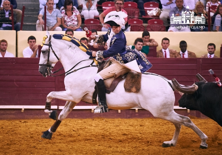 20170720CPQCORRIDAFH179