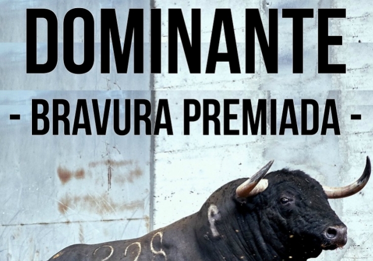 Dominante - Bravura Premiada site