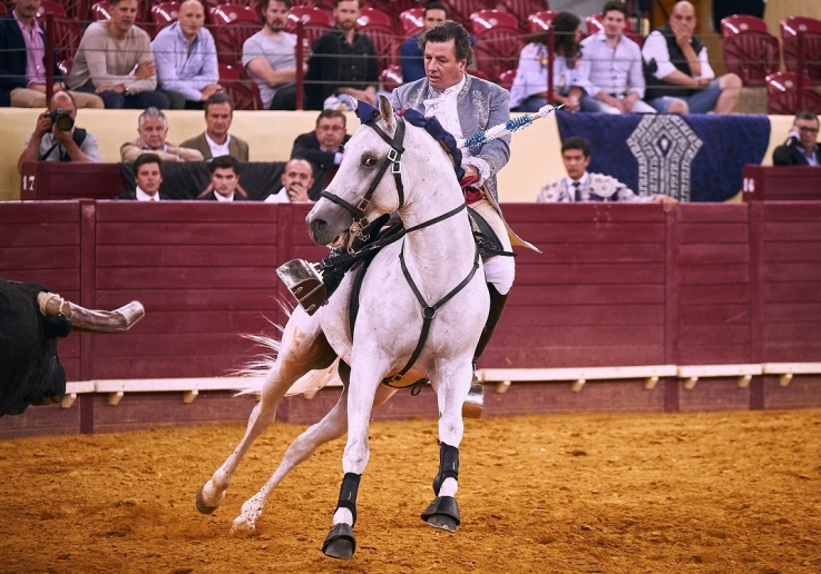 CAMPO PEQUENO TV