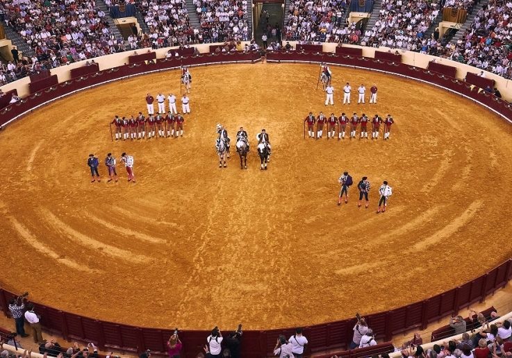 CAMPO PEQUENO TV