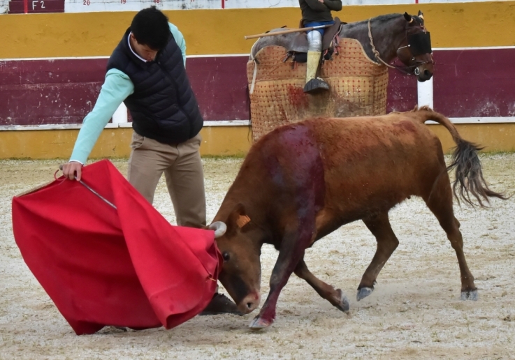 RUI JARDIM - ACADEMIA TOUREIO CAMPO PEQUENO