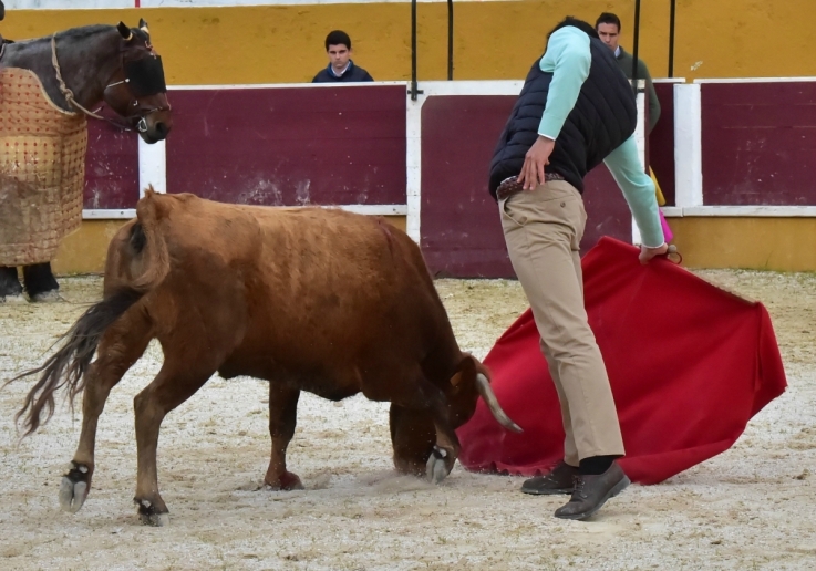 RUI JARDIM - ACADEMIA TOUREIO CAMPO PEQUENO