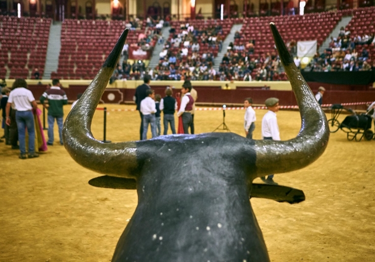 CAMPO PEQUENO TV