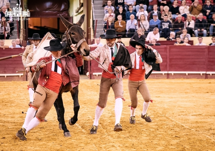 CAMPO PEQUENO TV