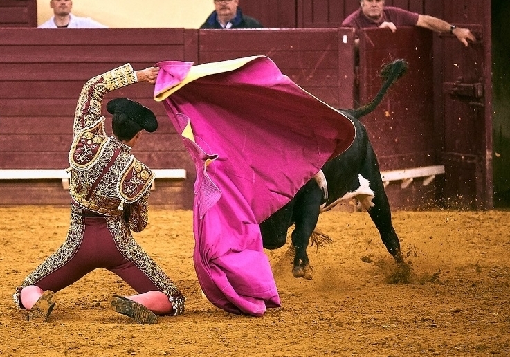 CAMPO PEQUENO TV