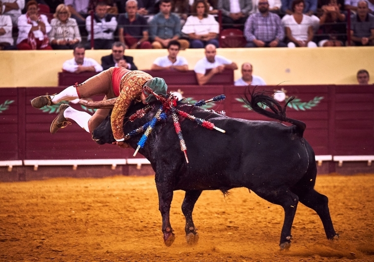 CAMPO PEQUENO TV