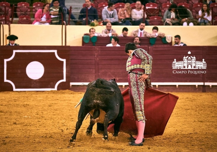 20180428 CPQCORRIDAFH0196