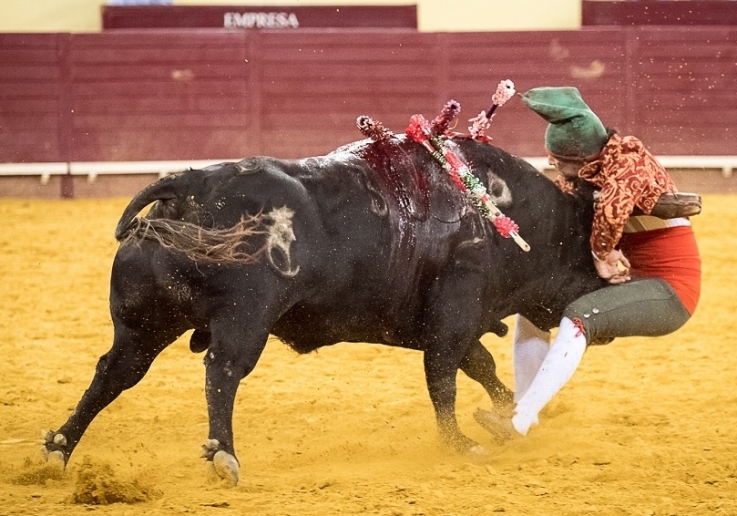 CAMPO PEQUENO TV
