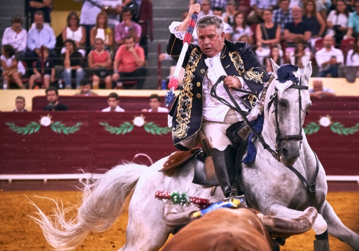 CAMPO PEQUENO TV