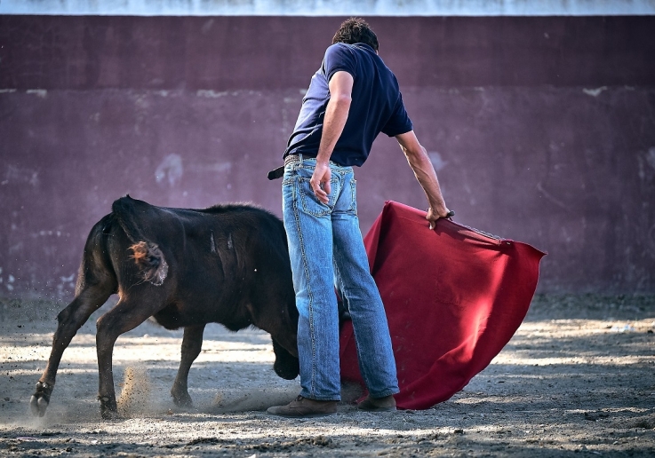 Matador de Toiros Antonio João Ferreira