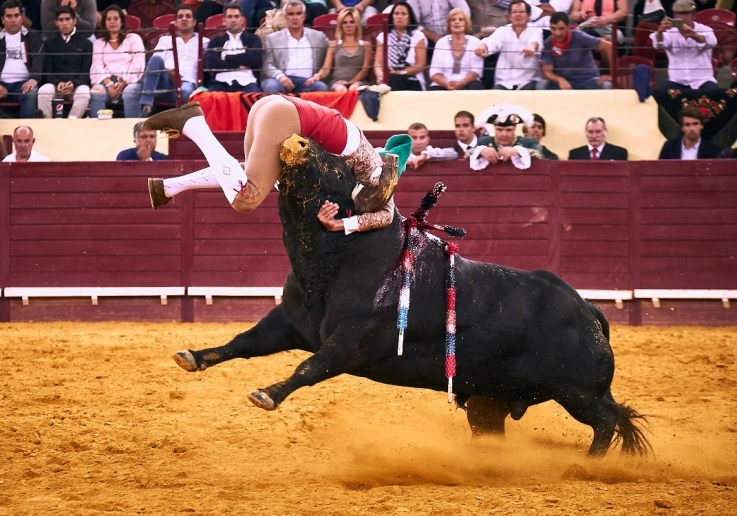 Chamusca 29 Junho 2017 2