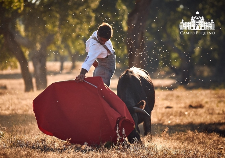 20180726 TENTADERO ROSA RODRIGUES.FH0063