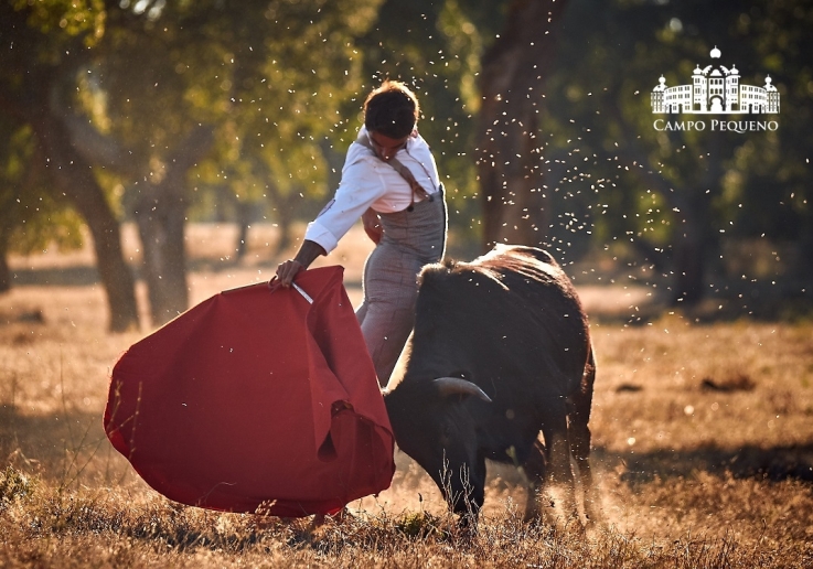 20180726 TENTADERO ROSA RODRIGUES.FH0064