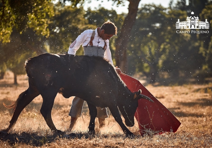 20180726 TENTADERO ROSA RODRIGUES.FH0070